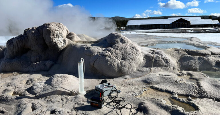 Old Faithful is boiling and smelly and is the perfect home for these organisms