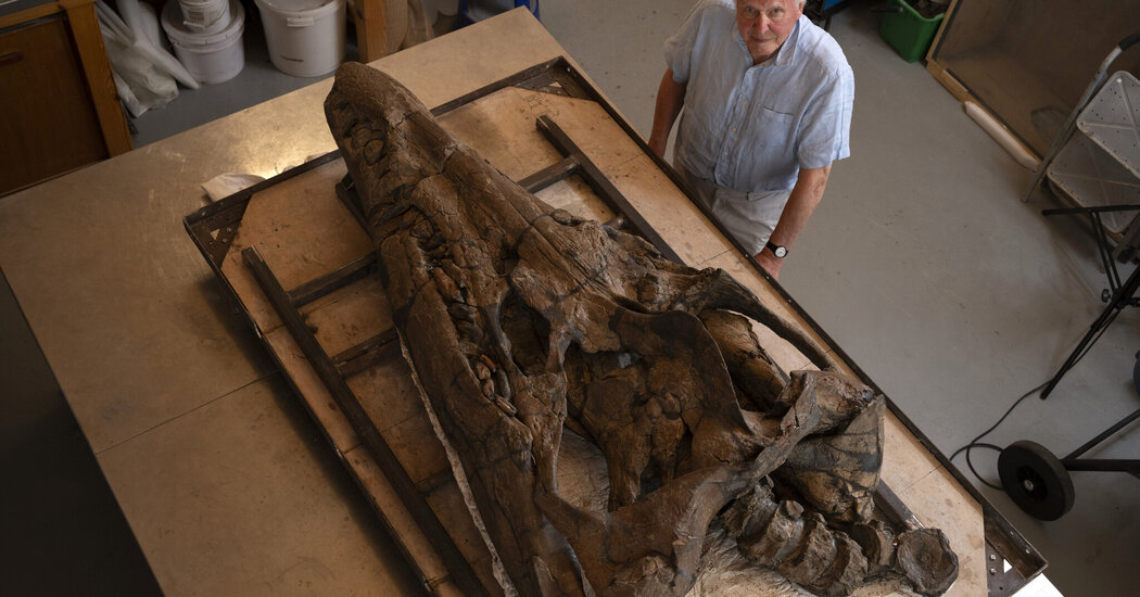 The skull of an ancient "sea monster" with dagger-like teeth was discovered in England